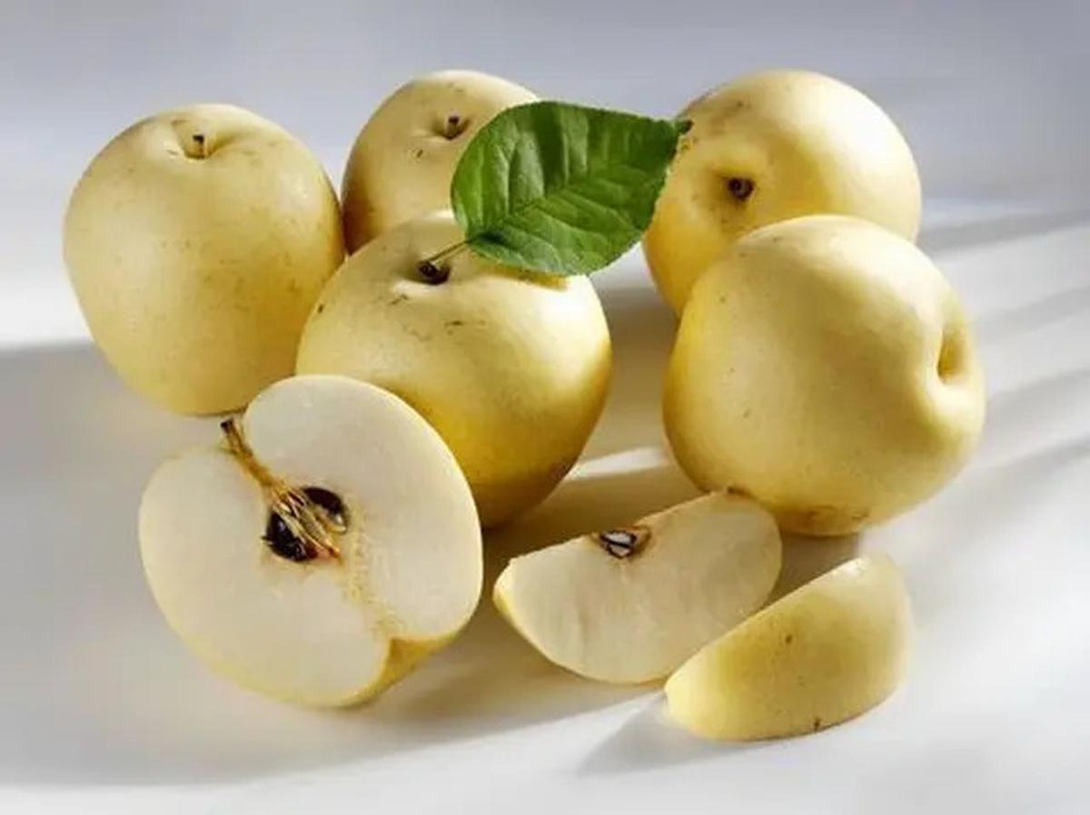 Minuman Herbal untuk Turunkan Kolesterol dan Darah Tinggi dari Buah Pir