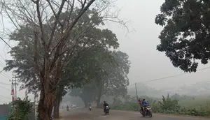 Kabut Asap Kebakaran Hutan Ancam Kesehatan Anak, Kenali Tanda yang Perlu Diwaspadai