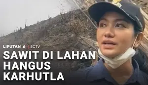 Sawit di Lahan Hangus Karhutla