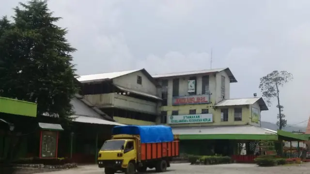 Kesegaran Udara Pagi di Hamparan Kebun Teh Kayu Aro Kerinci Jambi