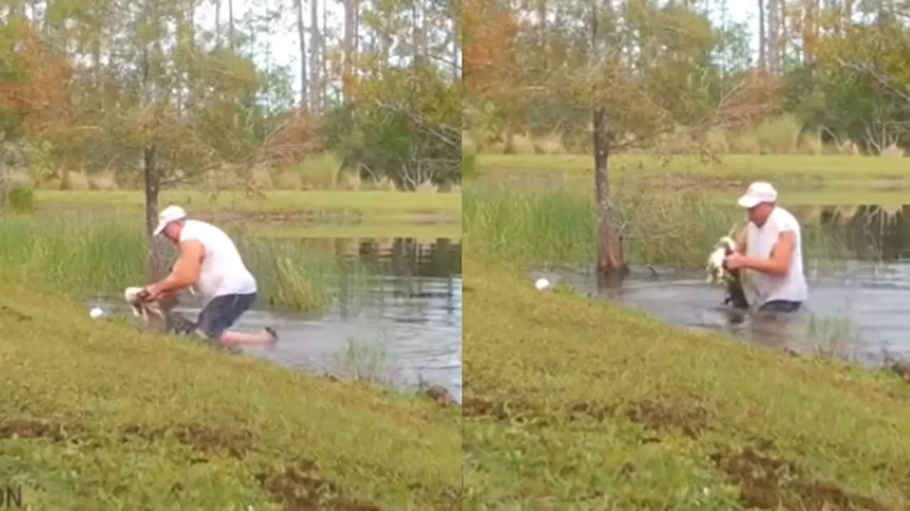 Demi Selamatkan Anjingnya dari Buaya, Pria Ini Rela Lompat ke Danau Tanpa Bantuan