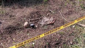 Misteri Kerangka di Tembalang Semarang, Polisi Telusuri Kasus Gadis Hilang