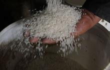 Dirut Bulog Tegaskan Pemerintah Tidak Akan Ubah HET Meski Harga Beras Mahal dan Langka