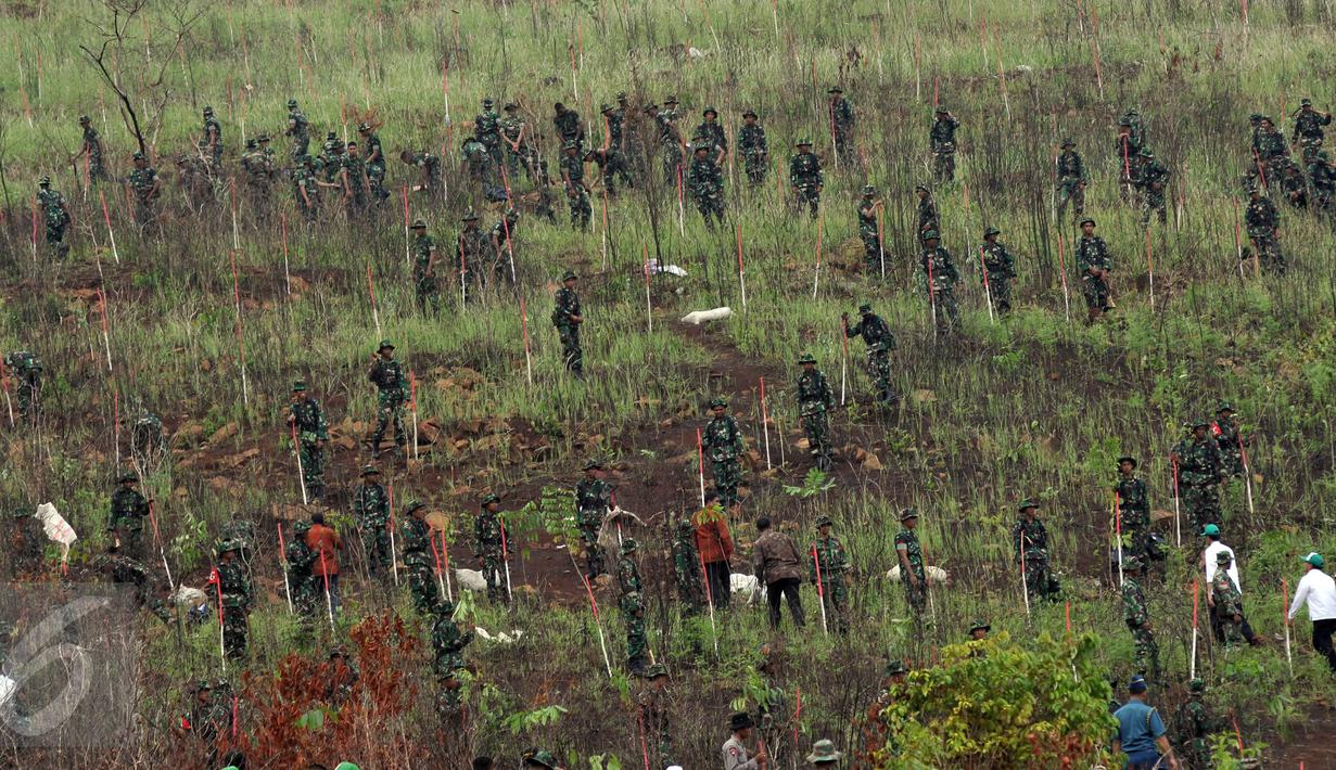 Prajurit TNI AD ikut terlibat melakukan penanaman pohon pada peringatan Hari Menanam Pohon Indonesia dan Bulan Menanam Pohon Nasional di Tahura Sultan Adam, Kalsel, Kamis (26/11). (Liputan6.com/Johan Tallo)