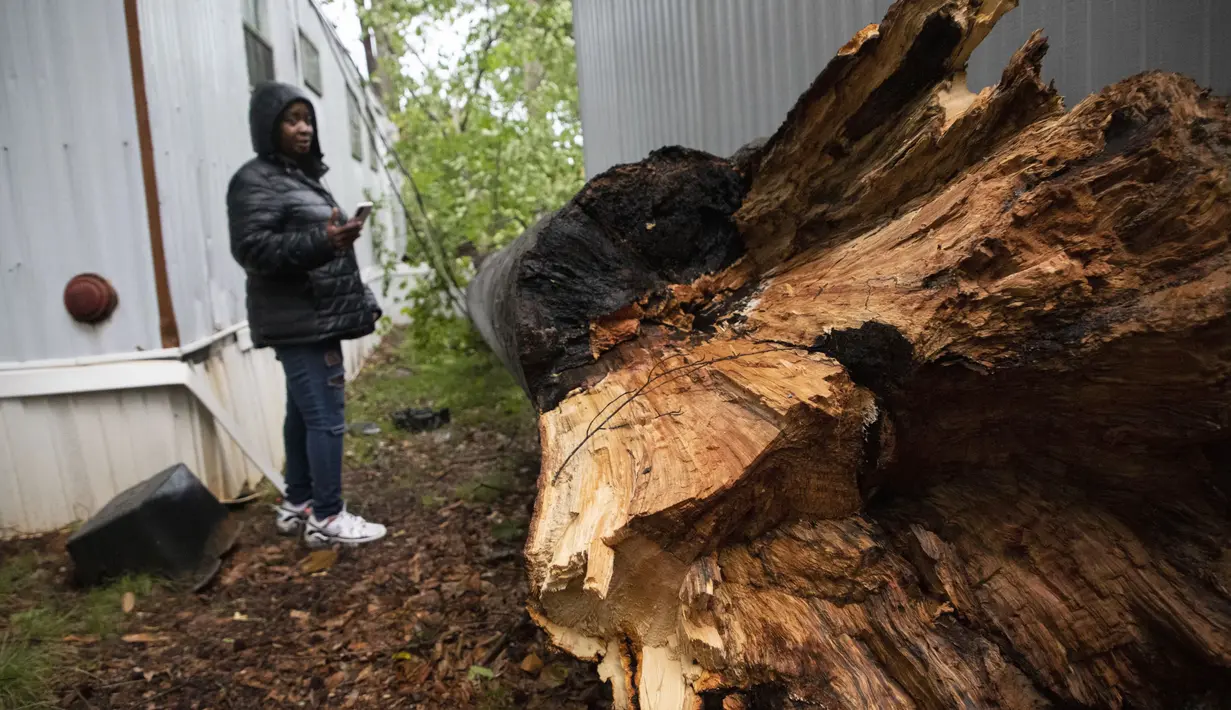 Seseorang memeriksa pohon tumbang di Shady Grove Mobile Home Park di Charlotte, N.C., Senin, 7 Agustus 2023. (Sean Mcinnis/The Charlotte Observer via AP)