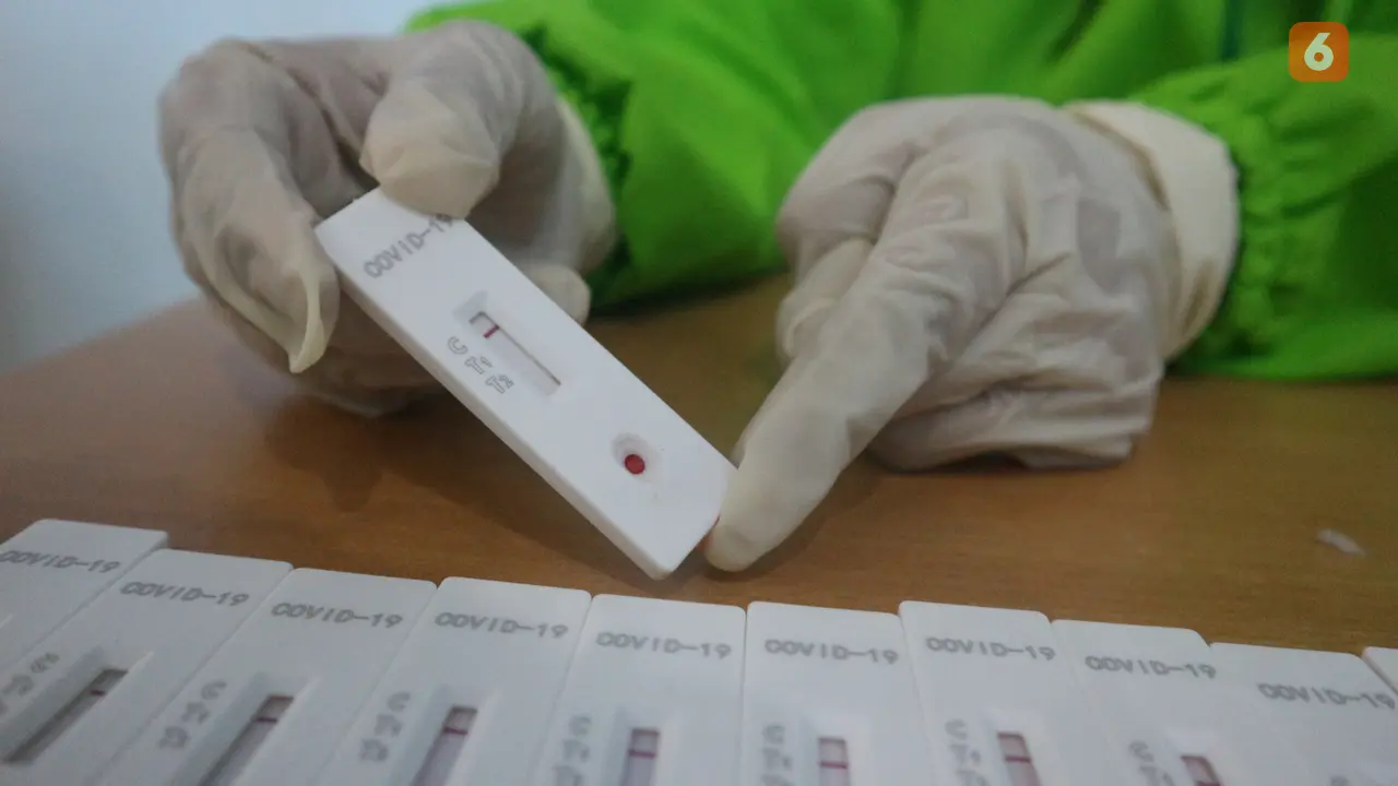 rapid test