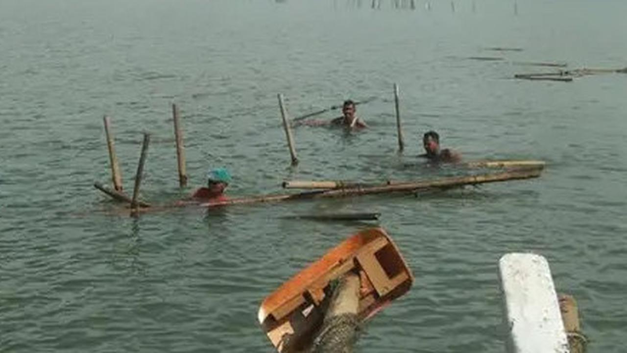 Ramai Pagar Laut, Nelayan Buru-Buru Cabut Bambu Bekas Budidaya Kerang Hijau