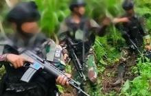 Belah Hutan-Lewati Sungai, Pasukan TNI Tewaskan 5 KKB saat Kontak Tembak di Pegunungan Papua