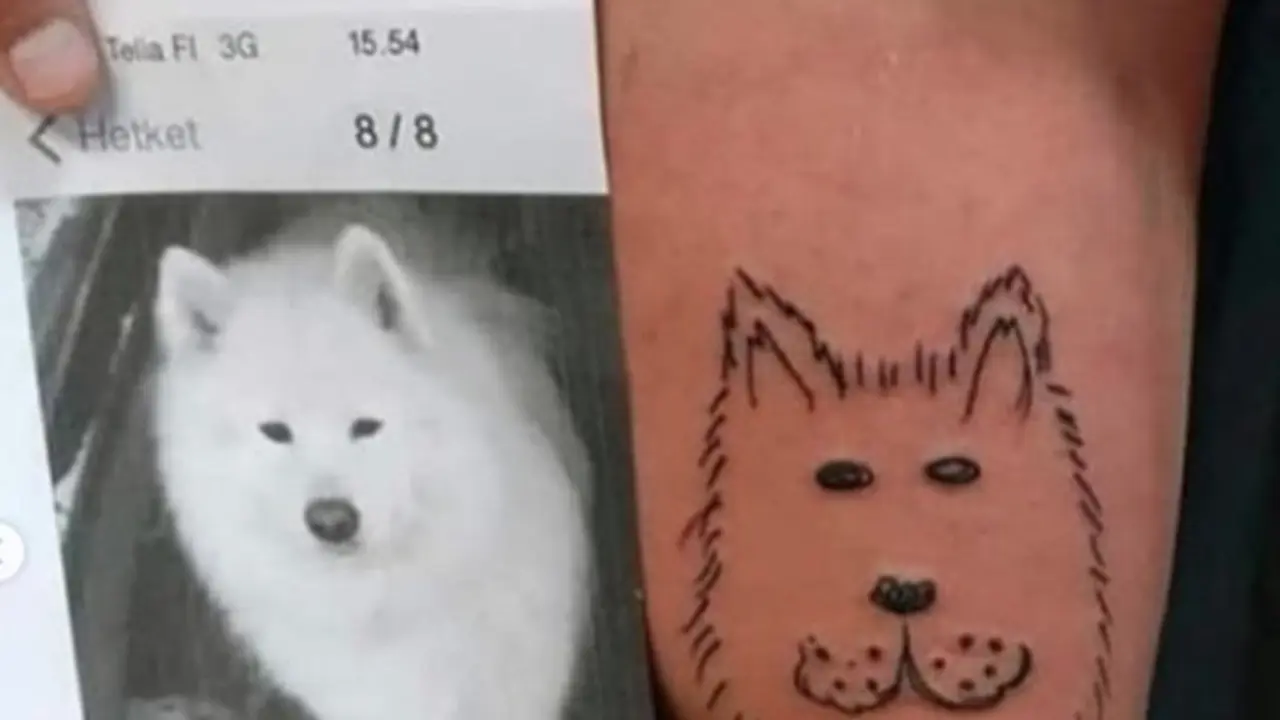 tato kocak