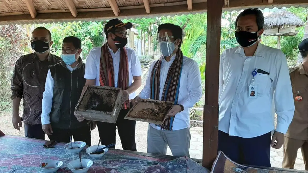 Desa Berinovasi Kembangkan Madu Trigona di Lombok