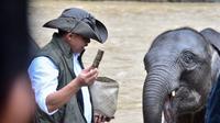 Menteri Kehutanan (Menhut) Raja Juli Antoni melakukan kunjungan ke Tangkahan, Kabupaten Langkat, Sumatera Utara. (Foto: Istimewa).