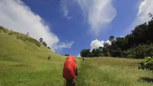 6 Fakta Menarik Gunung Tambusisi di Sulawesi, Bagian Konservasi Cagar Alam  Morowali Utara - Lifestyle Liputan6.com
