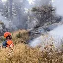 Penyebab Kebakaran Gunung Buthak-Kawinajang Meluas hingga 700 Hektare