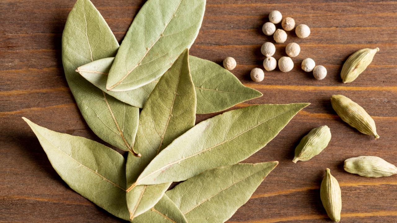 Daun Salam: Herbal Kuno dengan Manfaat Modern untuk Kesehatan Pencernaan dan Kolesterol