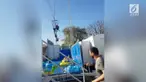 Beruntung sepatu sang gadis seperti menahan bebannya yang bergantung terbalik.