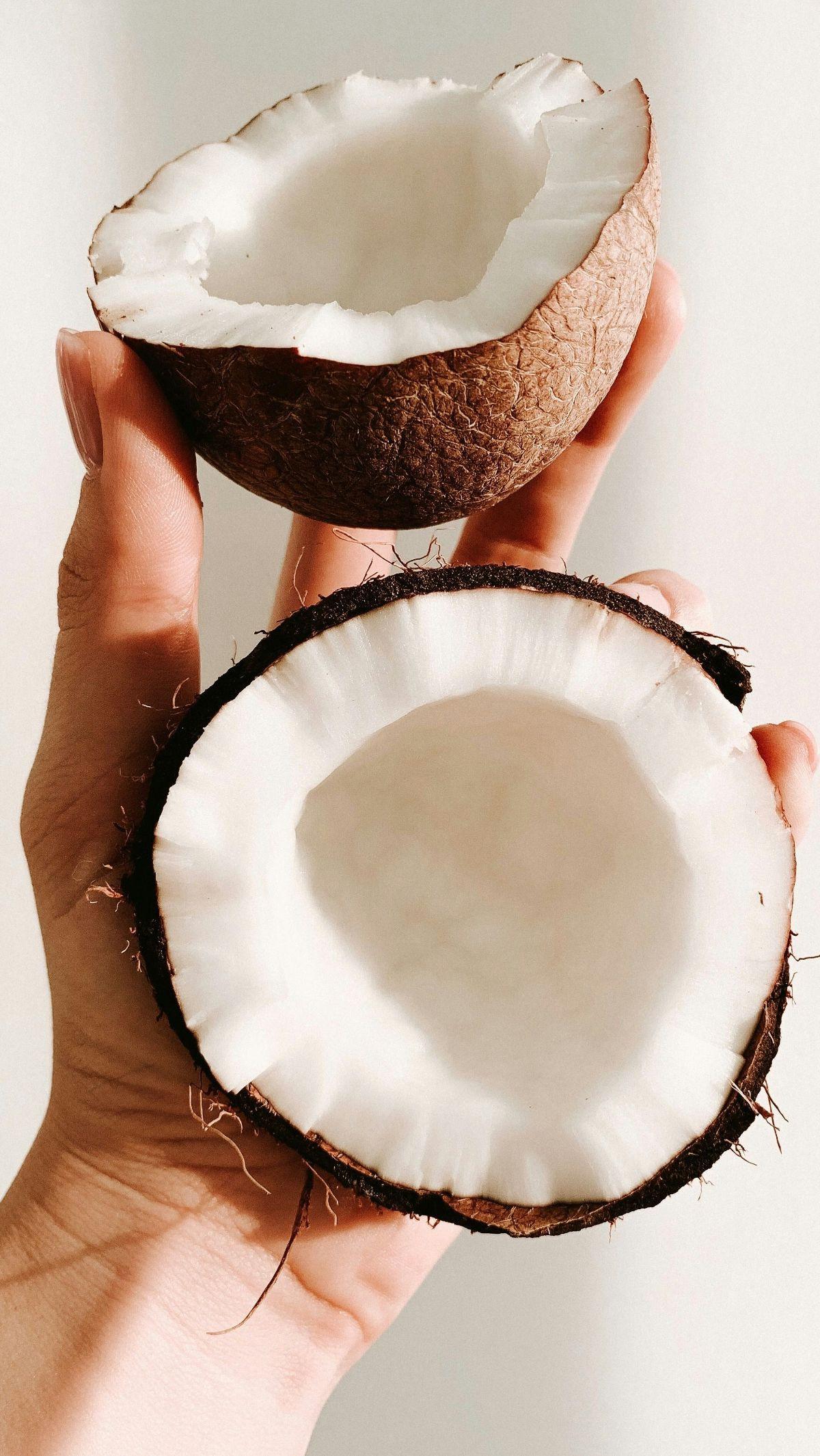 Salah satu sumber daya alam yang melimpah dalam bidang pertanian yang dimiliki Indonesia adalah perkebunan kelapa. Kelapa kerap dianggap sebagai tumbuhan serba guna karena tanaman kelapa dimanfaatkan dan digunakan dengan baik untuk keperluan pangan maupun