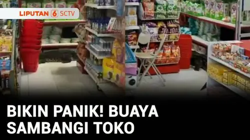  Ngeri! Buaya Panjang Lebih dari 2 Meter Masuk Toko, Pemilik dan Warga Panik