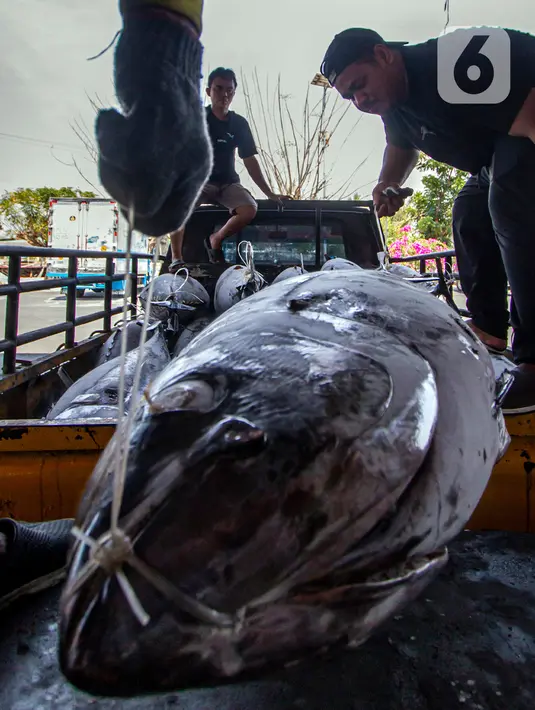 <p>Pemerintah menyoroti keberlanjutan ekosistem laut mengingat saat ini nelayan mulai kesulitan menangkap ikan. (Liputan6.com/Angga Yuniar)</p>