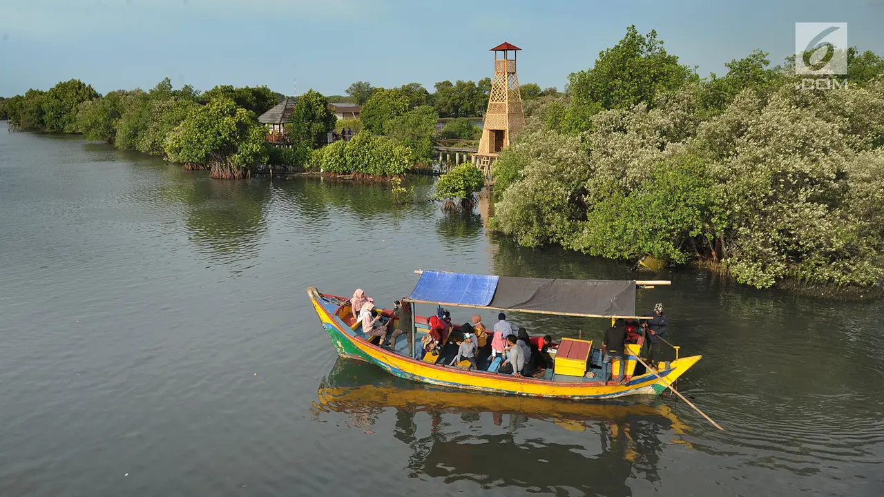 Menikmati Indahnya Wisata Mangrove di Bekasi