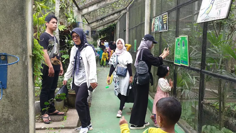 Para pengunjung tengah menikmati sajian satwa dilindung di kawasan wisata Taman Satwa Cikembulan, Kadungora, Garut, Jawa Barat. (Liputan6.com/Jayadi Supriadin)