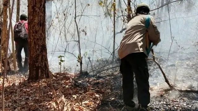 Petugas gabungan berusaha memadamkan api di Taman Nasional Baluran (Foto: Instagran btn_baluran)
