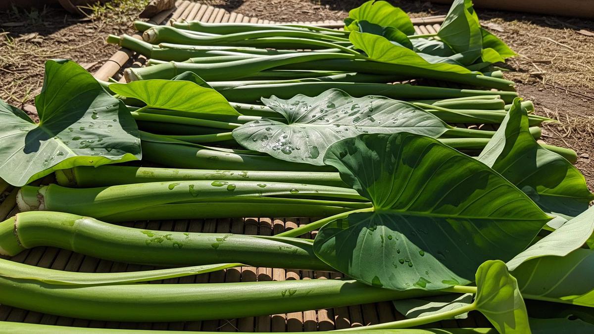 Cara Mengolah Lompong Batang Talas, 5 Langkah Agar Enak &amp; Tidak Gatal