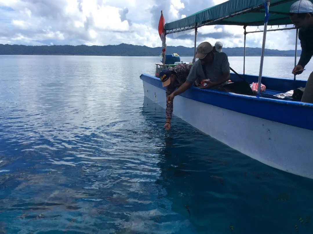 Jernihnya air laut di perairan Arborek, surga ikan dan wisatawan yang eksotis. (foto : Liputan6.com / katharina janur)