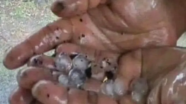 Hujan Es Kejutkan Warga di Sukabumi