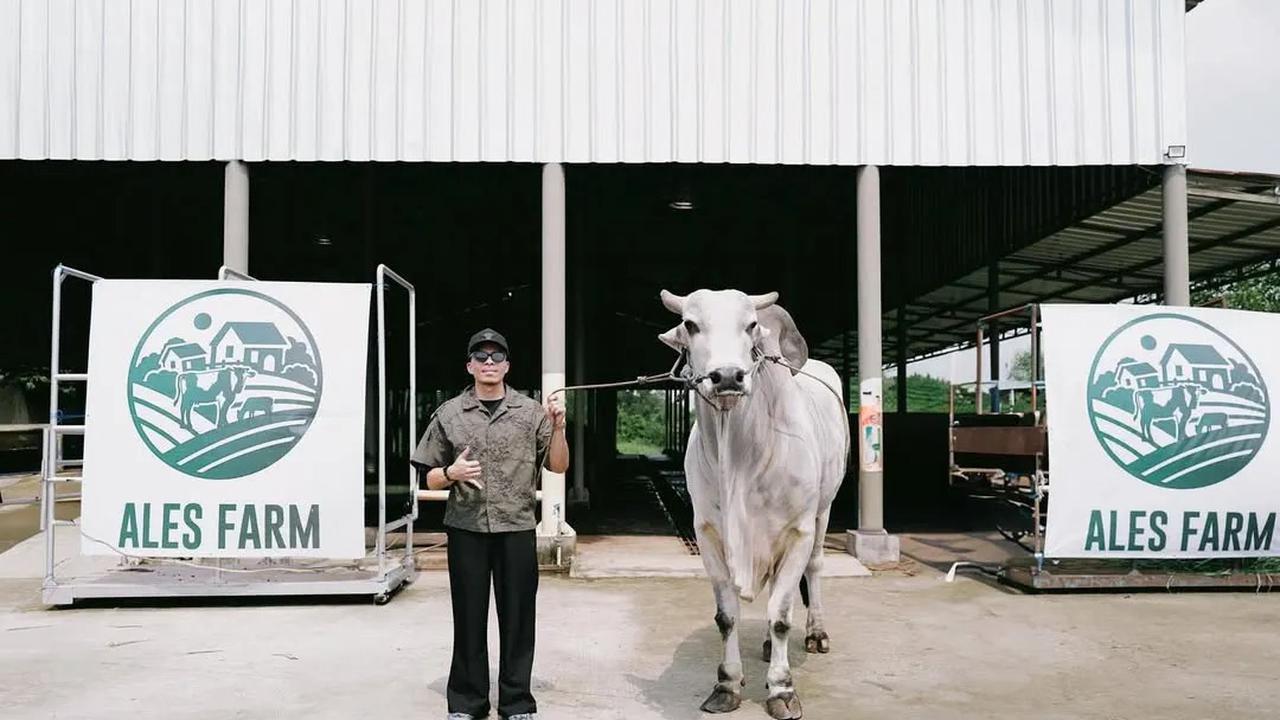 Atta Halilintar Cerita Pengalaman Seru dan Haru Naik Kapal Bawa Sapi Kurban