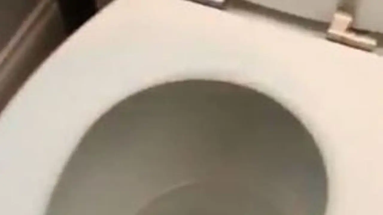[Bintang] Dikira Mati, Saat Di-flush di Toilet Ikan Ini Hidup Lagi!