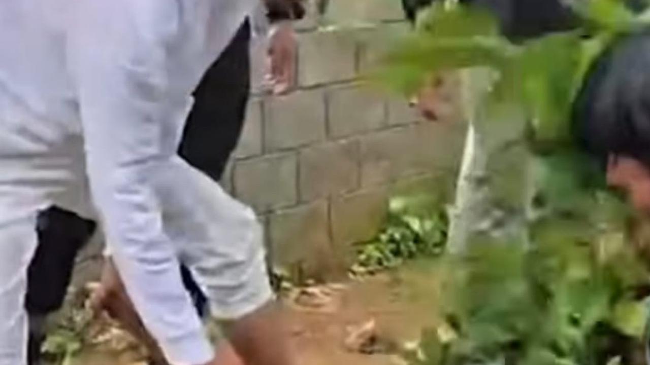 Dedi Mulyadi Tanam Pohon