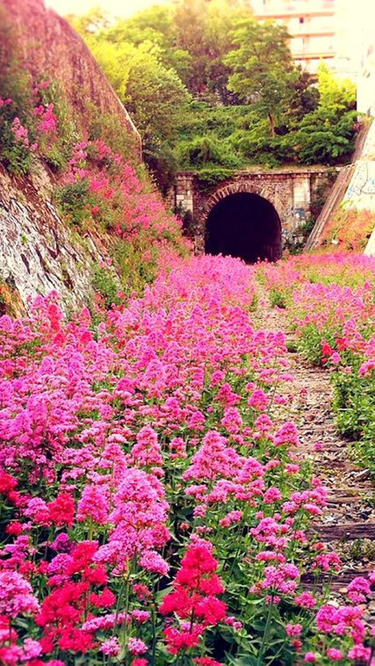 Quotes About Nature <br>