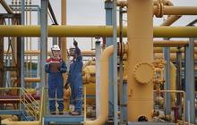 Penyaluran Gas Bumi Pertagas Perkuat Industri di KEK Sei Mangkei Sumatera Utara