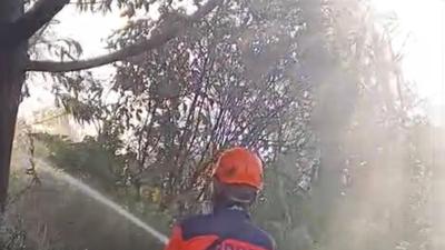 Kawah Ijen Ditutup Sementara Imbas Kebakaran Hutan