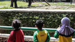 Sejumlah anak TK melihat gajah di Taman Marga Satwa Ragunan, Jakarta, Kamis (13/12). Kegiatan tersebut untuk mengajarkan anak-anak untuk lebih mengenal binatang-binatang. (Liputan6.com/Faizal Fanani)
