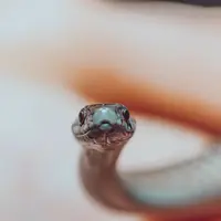 Ilustrasi Mimpi Melihat Ular Kecil Credit: pexels.com/