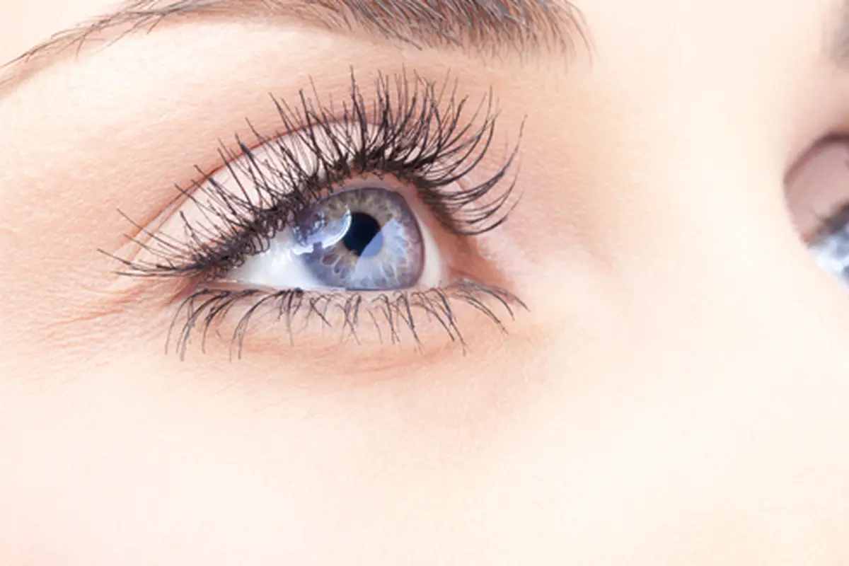 Foto: copyright shutterstock.com