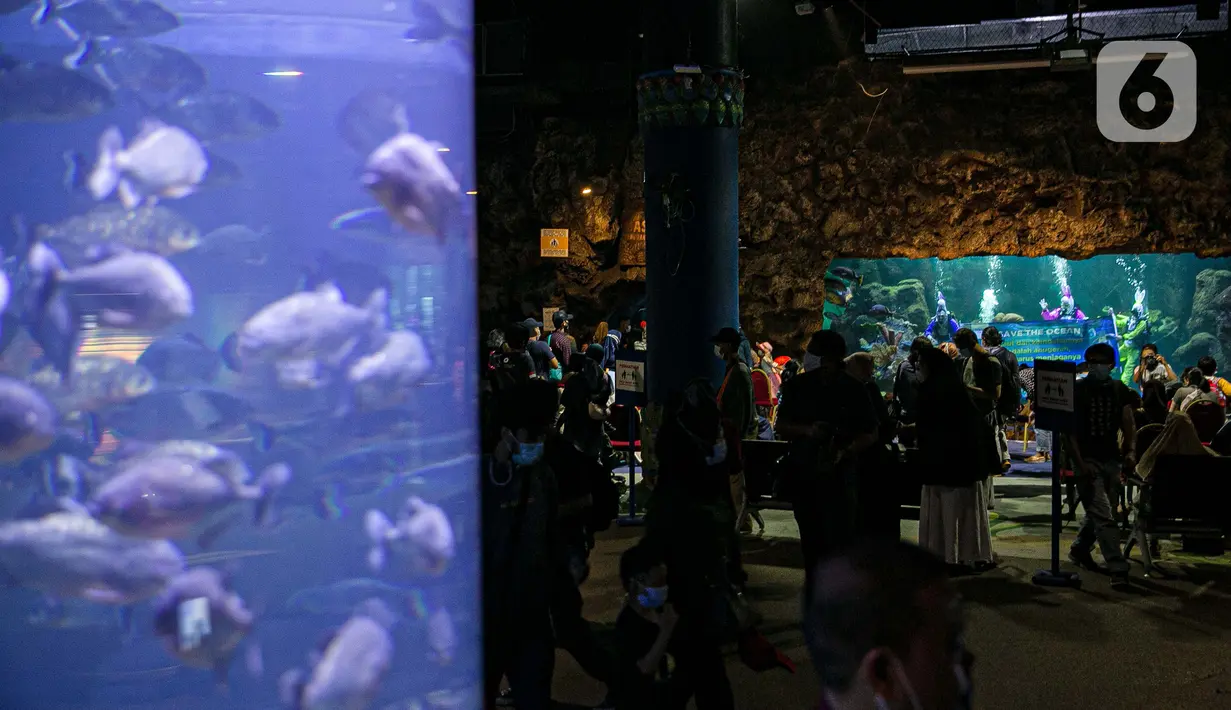 Pengunjung menyaksikan pertunjukan drama teatrikal bertajuk Rabbit Underwater Show In Mission Save The Ocean di Sea World Ancol Jakarta, Selasa (30/3/2021). Pertunjukan digelar untuk mengedukasi warga dalam menjaga ekosistem laut dari sampah atau polusi laut. (Liputan6.com/Faizal Fanani)