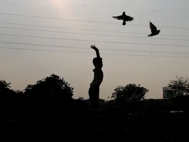 Seorang anak melepas burung merpati di bantaran Kanal Banjir Barat (KBB), Petamburan, Jakarta, Kamis (21/9). Bermain burung merpati merupakan hobi yang digemari warga di bantaran Kanal Banjir Barat untuk mengisi waktu libur. (Liputan6.com/Johan Tallo)