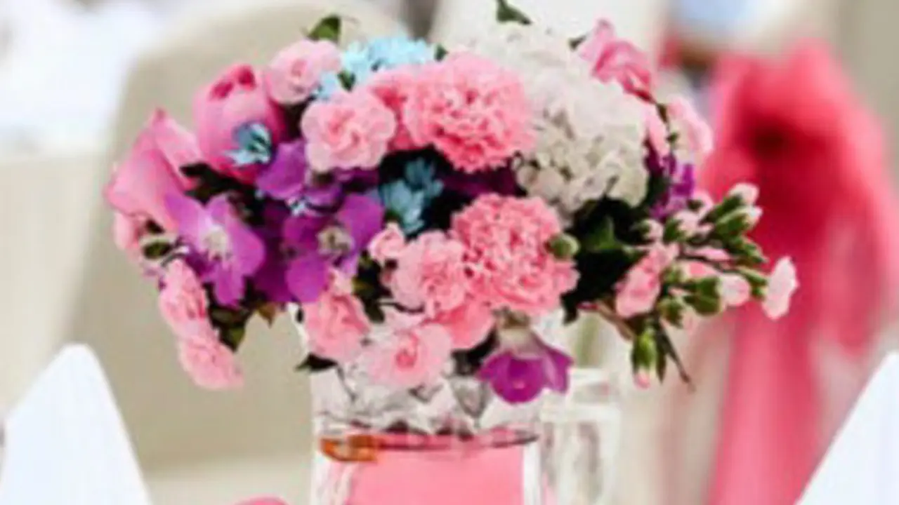 Foto: copyright thinkstockphotos.com