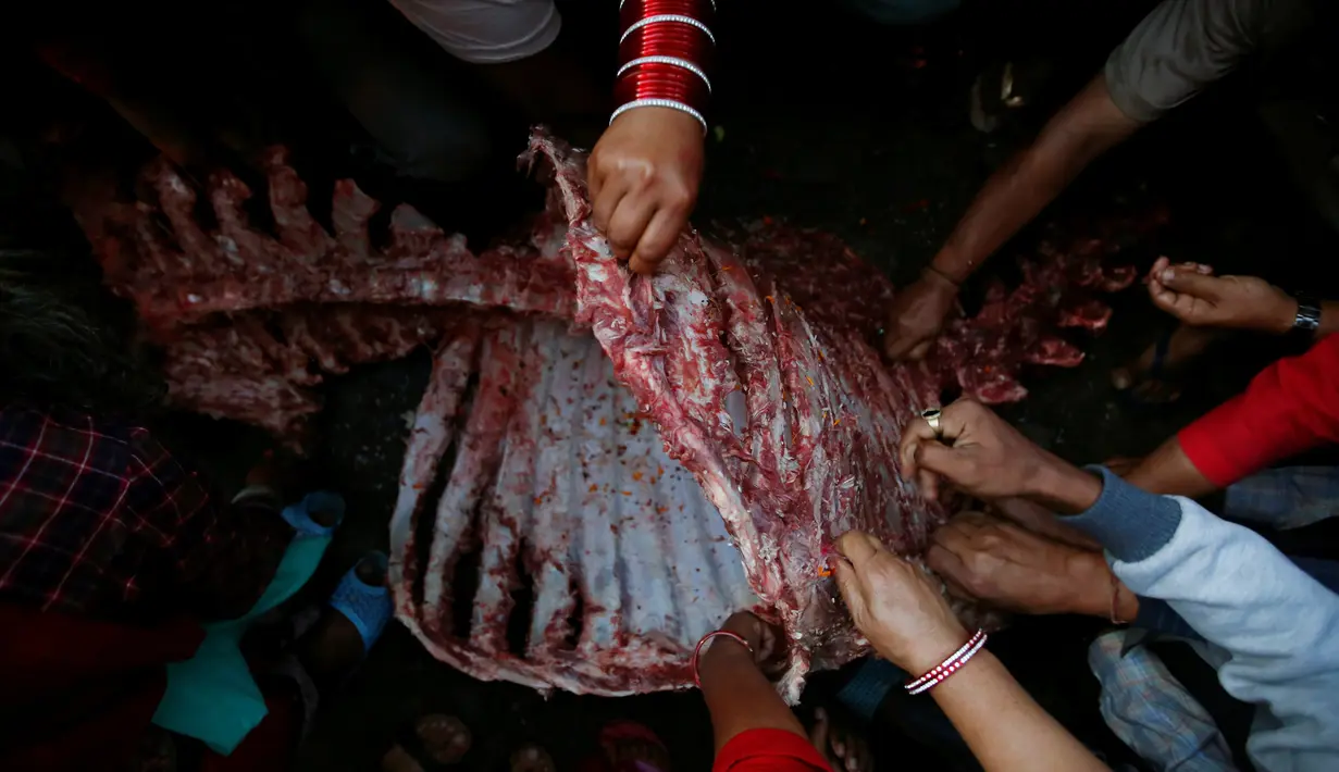 Para warga mengambil daging kerbau yang dikorbakan dalam acara Dashian di Nepal, (11/10). Dashian merupakan festival agama Hindu yang diadakan 5 tahun sekali di Bhaktapur, Nepal. (REUTERS/Navesh Chitrakar)