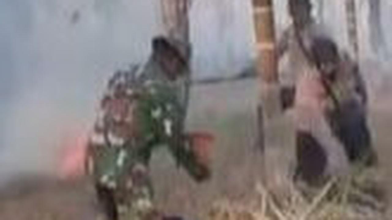 "Ini sangat panas di tambah dengan cuaca yang sangat terik," keterangan dalam video.&nbsp;<br>