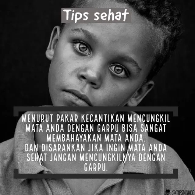tips absurd