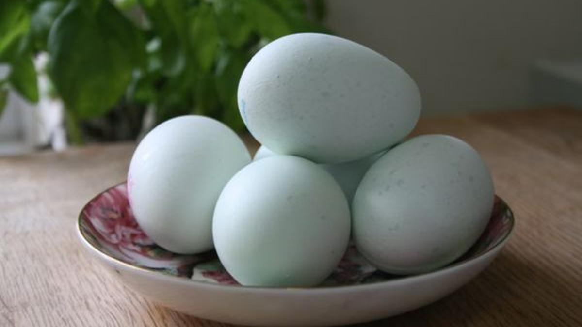 Cara Buat Telur Asin Sendiri Cukup 10 Hari Saja, Gurih Masir Anti Gagal