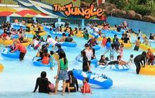 13 Tempat Wisata di Puncak yang Populer dan Seru, Wajib Mampir
