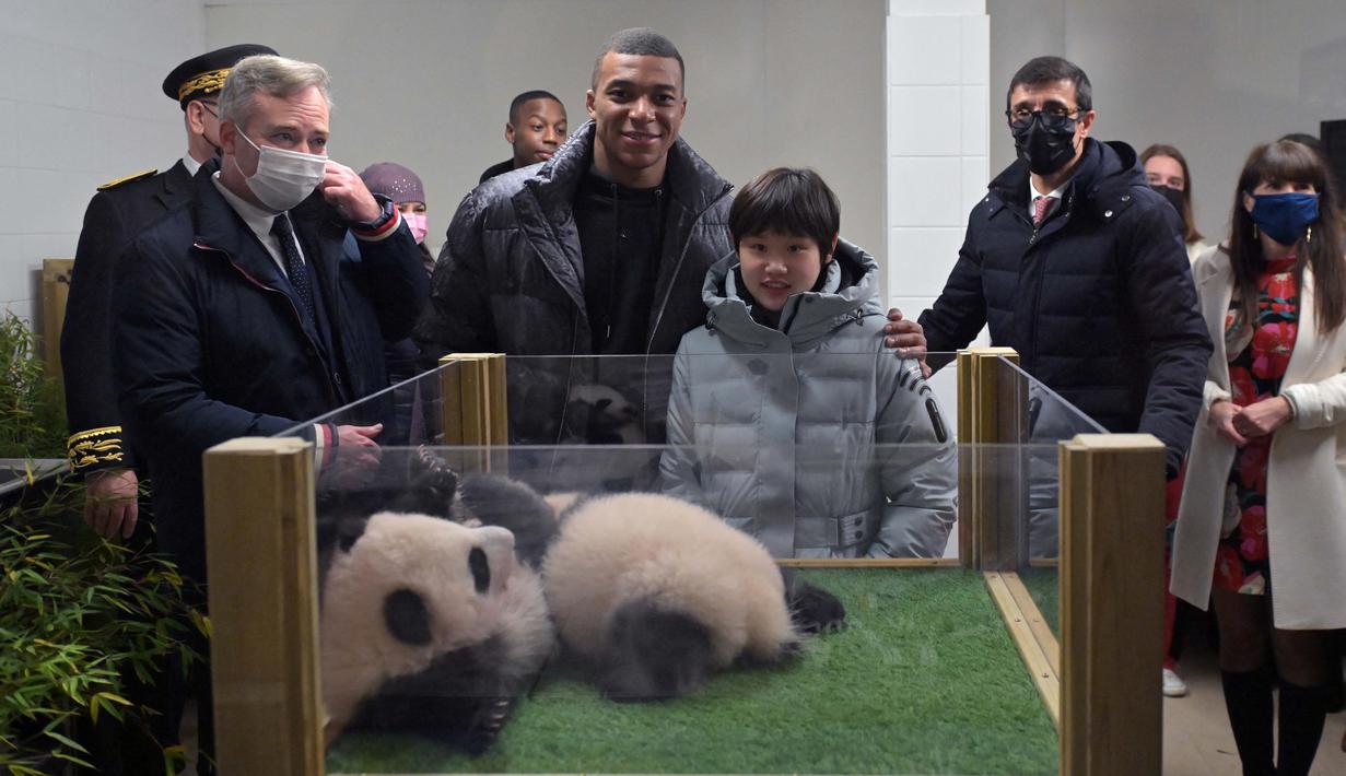 Kylian Mbappe dan Zhang Jiaqi tampak tersenyum ketika berada di depan kotak yang diisi Yuandudu dan Huanlili. Dua bayi panda tersebut tampak meringkuk dan saling memeluk satu sama lain. (AFP/Guillaume Souvant)
