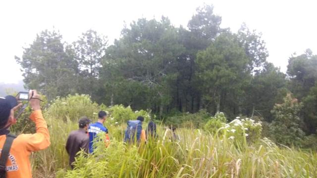 Batas vegetasi di Gunung Slamet. (Liputan6.com/Basarnas/Muhamad Ridlo)