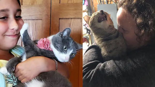 Tak Mau Dipeluk dan Dicium, 10 Ekspresi Kucing Ini Tampak Kocak