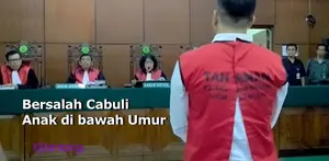 Hakim pengadilan PN Utara, Selasa (14/6) menjatuhkan hukuman penjara 3 tahun pada Saipul Jamil, yang terbukti bersalah melakukan pencabulan pada anak di bawah umur. 