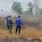 Kebakaran Lahan di Lampung Selatan, Api Dipicu Angin Kencang